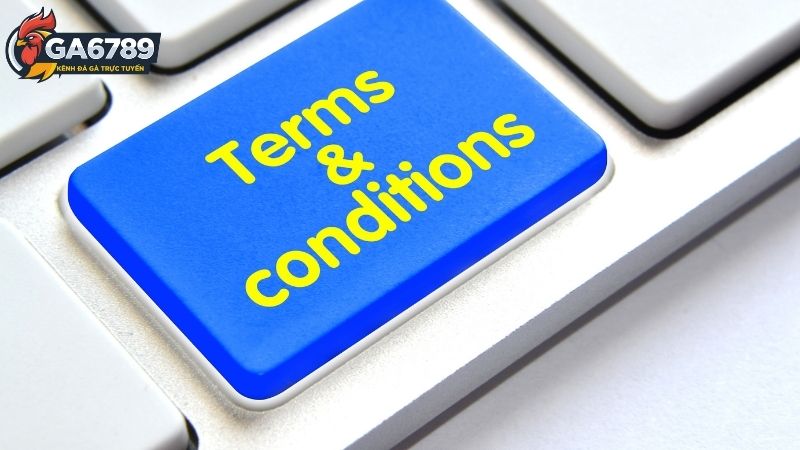 Điều khoản và điều kiện tại Ga6789 3 Điều khoản và điều kiện tại Ga6789